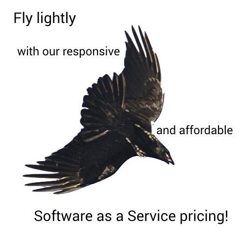 Software as a service pricing