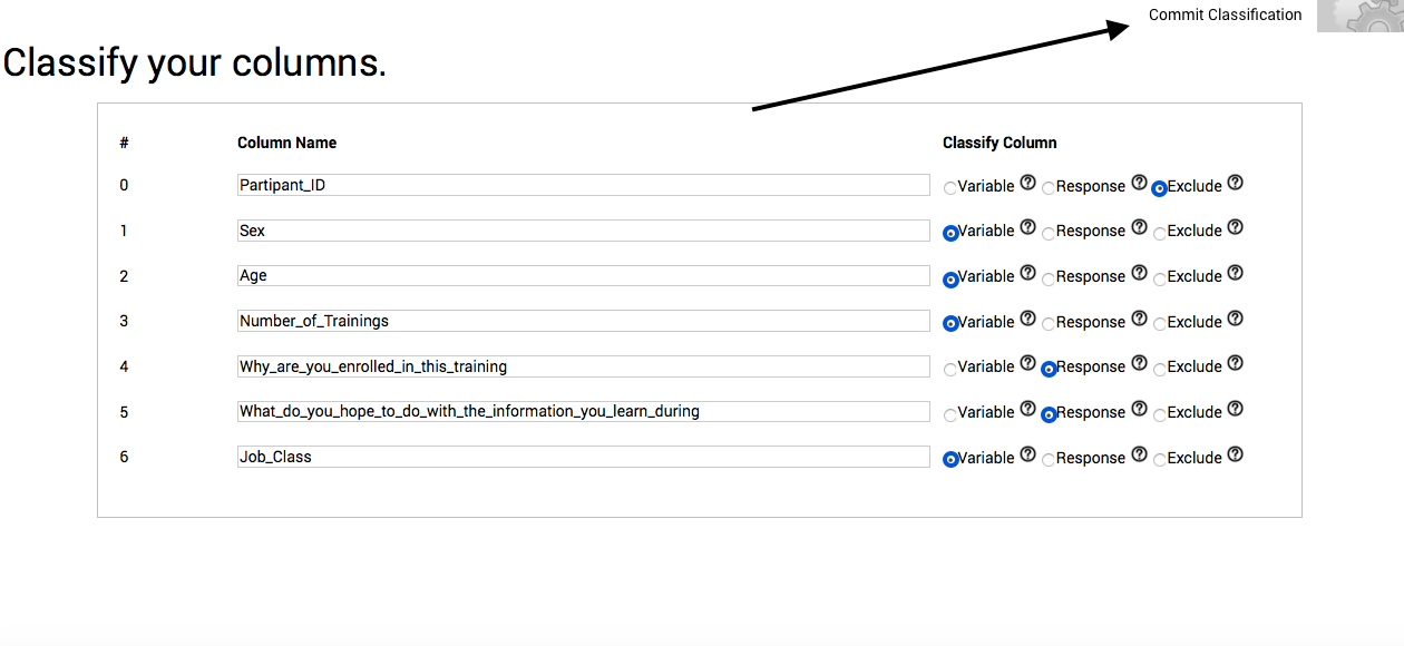 Commit your column classifications to proceed to your results