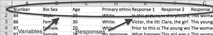 Your variables and responses should be ordered by columns